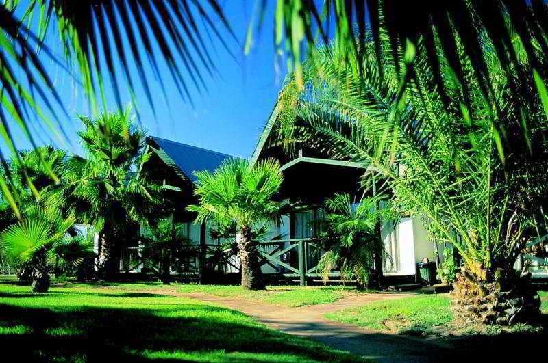 Desert Palms 3*